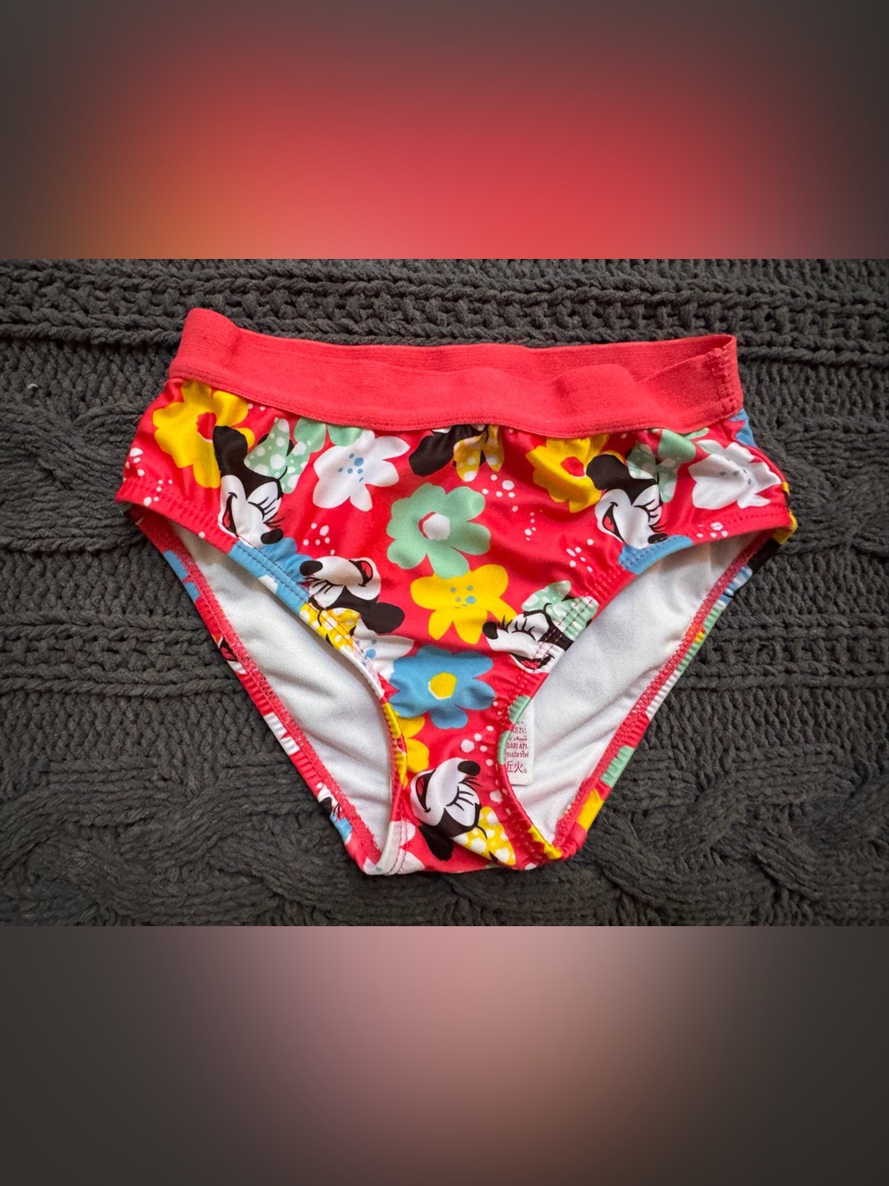 Disney Minnie Mouse Floral Kids Swim Bottoms (Girls, Size US 4)